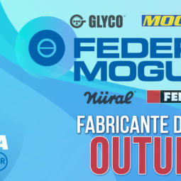 Auto Delta fabricante mês Federal Mogul